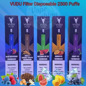 VUDU Filter 2500 Puffs Disposable Vape