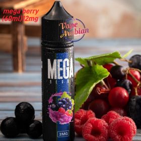 Mega 12mg Nicotine Vape Juice 60ml In UAE - Image 2