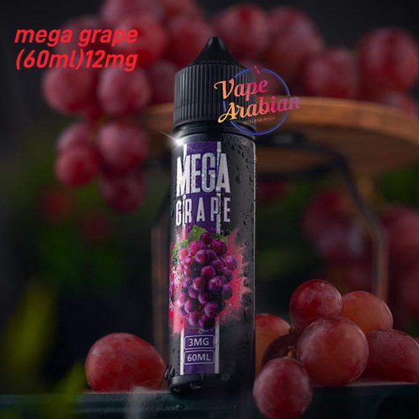 Mega 12mg Nicotine Vape Juice 60ml In UAE - Image 6