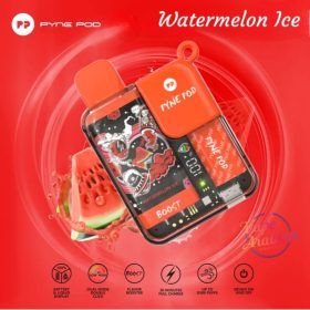 Pyne Pod 8500 Disposable Vape In UAE - Image 22
