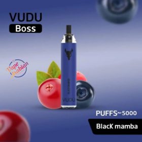 VUDU Boss Filter Disposable 5000 Puffs Rechargeable Vape In UAE - Image 17