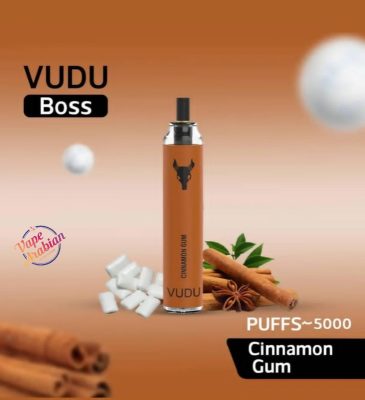 VUDU Boss Filter Disposable 5000 Puffs Rechargeable Vape In UAE - Image 9