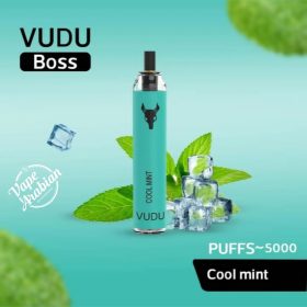 VUDU Boss Filter Disposable 5000 Puffs Rechargeable Vape In UAE - Image 10