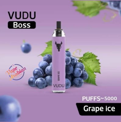 VUDU Boss Filter Disposable 5000 Puffs Rechargeable Vape In UAE - Image 12