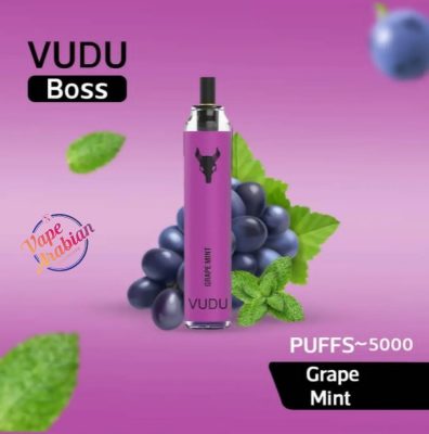 VUDU Boss Filter Disposable 5000 Puffs Rechargeable Vape In UAE - Image 13