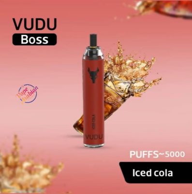 VUDU Boss Filter Disposable 5000 Puffs Rechargeable Vape In UAE - Image 14