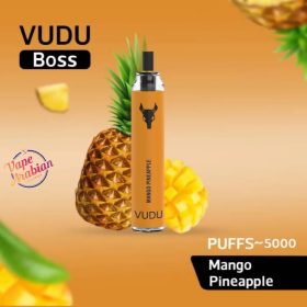 VUDU Boss Filter Disposable 5000 Puffs Rechargeable Vape In UAE - Image 15