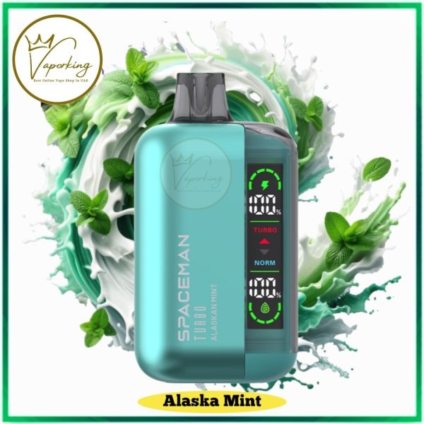 SMOK SPACEMAN Turbo 15000 Puffs Disposable Vape In UAE - Image 13