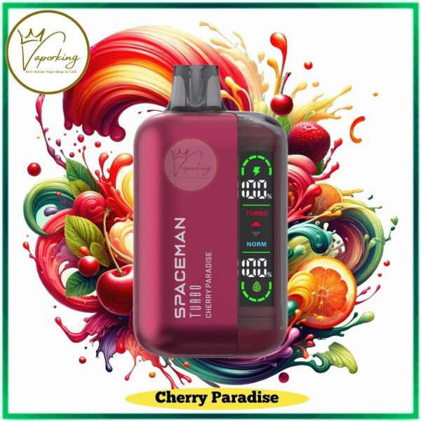 SMOK SPACEMAN Turbo 15000 Puffs Disposable Vape In UAE - Image 11