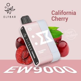 ELF BAR EW9000 Prefilled Pod Kit 9000 Puffs New 2024 In UAE - Image 9
