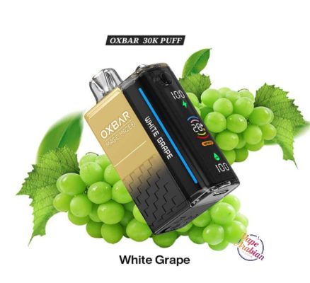 OXBAR 30K Magic Maze 2 Disposable Vape In UAE - Image 16