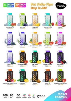VOZOL Gear Power 20000 Puffs Disposable Vape In UAE - Image 24