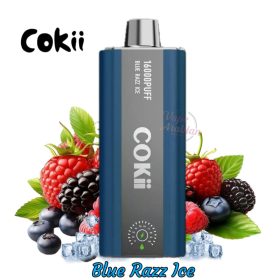Cokii 16000 Puffs Zero Nicotine Disposable Vape In UAE - Image 2