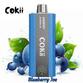 Cokii 16000 Puffs Zero Nicotine Disposable Vape In UAE - Image 3
