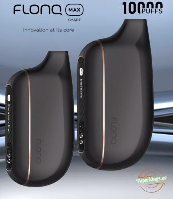 Malaki Flonq Max Smart 10000 Puffs