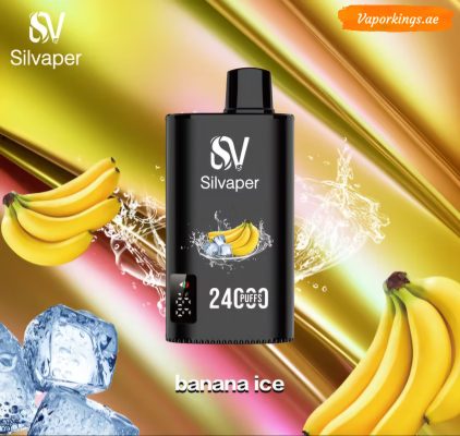 Silvaper 24000 Puffs Disposable Vape In UAE - Image 25