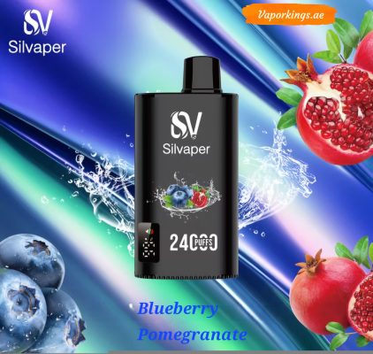Silvaper 24000 Puffs Disposable Vape In UAE - Image 26