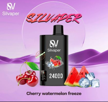 Silvaper 24000 Puffs Disposable Vape In UAE - Image 22