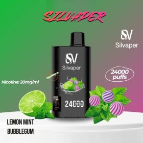 Silvaper 24000 Puffs Disposable Vape In UAE - Image 14