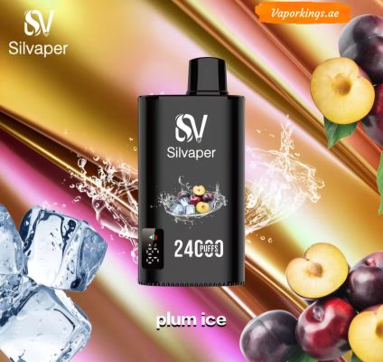 Silvaper 24000 Puffs Disposable Vape In UAE - Image 9