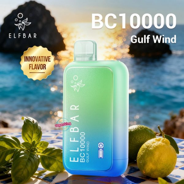 ELFBAR BC 10000 Puffs 20mg- Gulf Wind