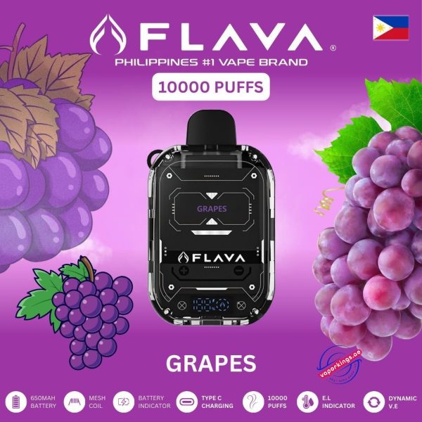 Flava Nimmbox 10000 Puffs Disposable Vape In UAE - Image 3