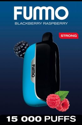 Fummo Power 15000 Puffs Disposable Vape Blackberry Raspberry