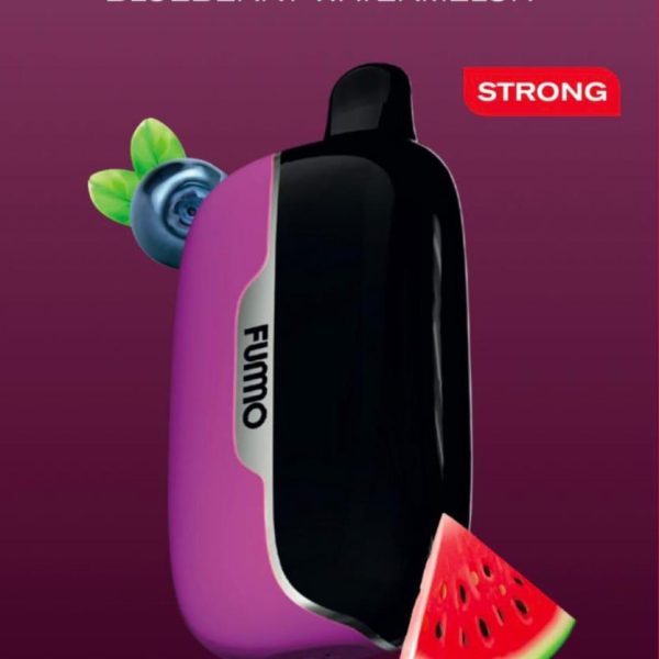 Fummo Power 15000 Puffs Disposable Vape Blueberry Watermelon