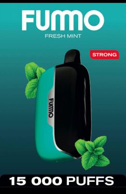 Fummo Power 15000 Puffs Disposable Vape Fresh Mint