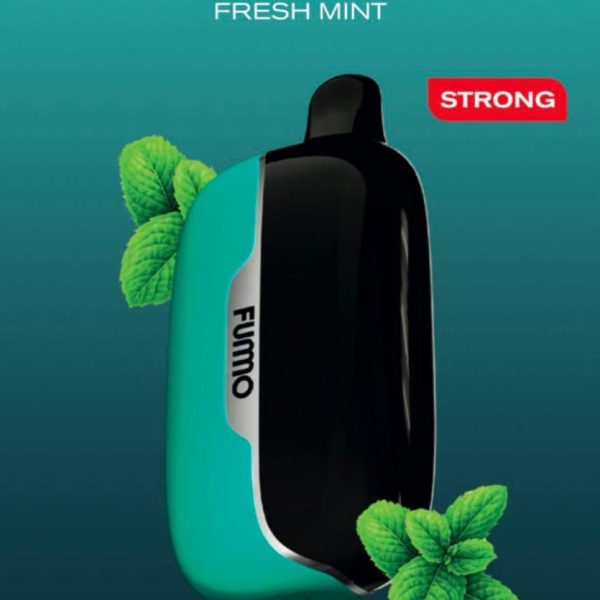 Fummo Power 15000 Puffs Disposable Vape Fresh Mint