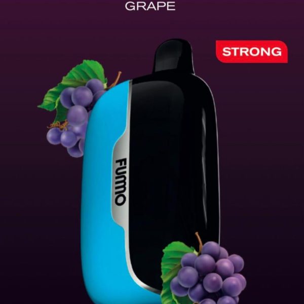 Fummo Power 15000 Puffs Disposable Vape Grape
