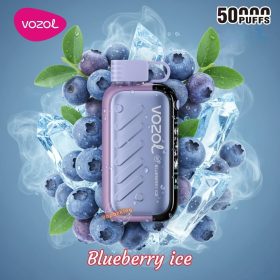 Vozol Gear 50000 Puffs- Blueberry Ice