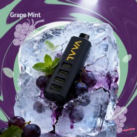 VAAL Cyber Shisha 50000 Puffs- Grape Mint