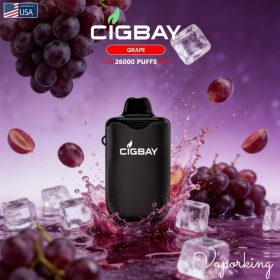 Cigbay 26000 Puffs Disposable Vape Kit 20mg in the UAE - Image 9
