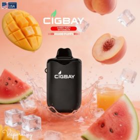 Cigbay 26000 Puffs Disposable Vape Kit 20mg in the UAE - Image 7