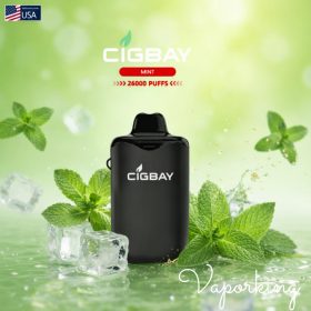 Cigbay 26000 Puffs Disposable Vape Kit 20mg in the UAE - Image 5