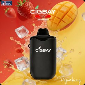 Cigbay 26000 Puffs Disposable Vape Kit 20mg in the UAE - Image 4