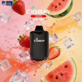 Cigbay 26000 Puffs Disposable Vape Kit 20mg in the UAE - Image 3