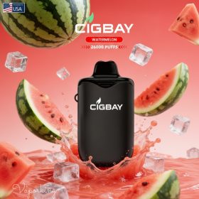 Cigbay 26000 Puffs Disposable Vape Kit 20mg in the UAE - Image 2