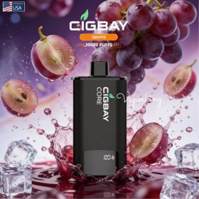 Cigbay Core 30000 Puffs Prefilled Pod Kit 20mg in the UAE - Image 11
