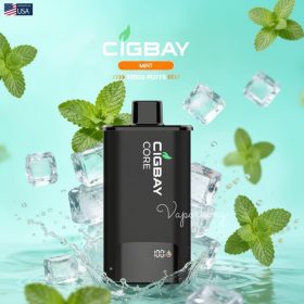 Cigbay Core 30000 Puffs Prefilled Pod Kit 20mg in the UAE - Image 8