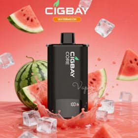 Cigbay Core 30000 Puffs Prefilled Pod Kit 20mg in the UAE - Image 2