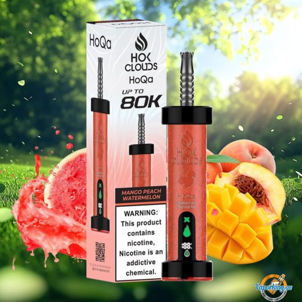 HOK Clouds HoQa 80000 Puffs Disposable Vape 5mg in the UAE - Image 8