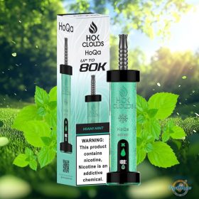 HOK Clouds HoQa 80000 Puffs Disposable Vape 5mg in the UAE - Image 11