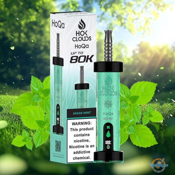 HOK Clouds HoQa 80000 Puffs Disposable Vape 5mg in the UAE - Image 11