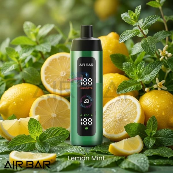 Airbar E Shisha 15000 Puffs Disposable Vape DTL 3MG in the UAE - Image 5